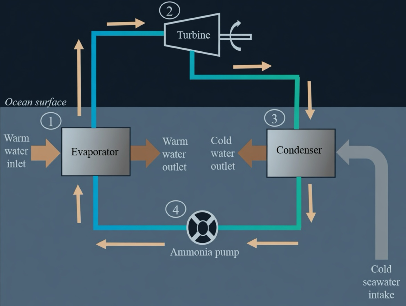 OTEC cycle diagram: warm surface water evaporates working fluid through a turbine; cold deep seawater condenses it via ammonia pump loop